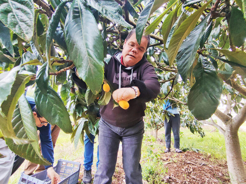 250522_APCC_Noticias_CACI-Agricultura_01