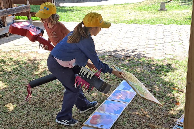 250721_APCC_Noticias_FeriasVeraoQuinta2025_17