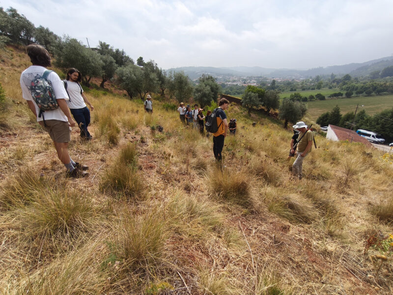 260625_APCC_Noticias_QtaConraria-alunosFCTUC_05