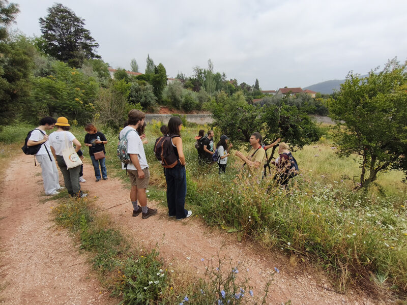 260625_APCC_Noticias_QtaConraria-alunosFCTUC_07